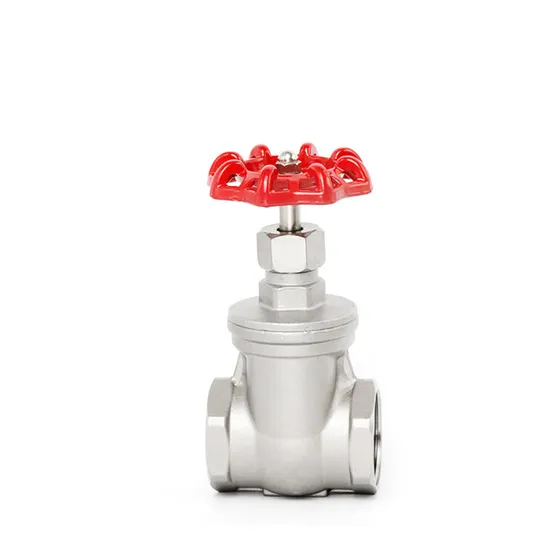Standard for Water Treatment Systems 304 Stainless Steel Threaded Hard Seal Gate Valve with High Corrosion Resistance